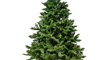 DECOLED Vianočný stromček Smrek 180cm 2D+3D ihličie