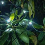 LED svetelná sieť Hobby Line, 2x 1,5 m, ľadovo biela, 90 diód – Obrázok 3